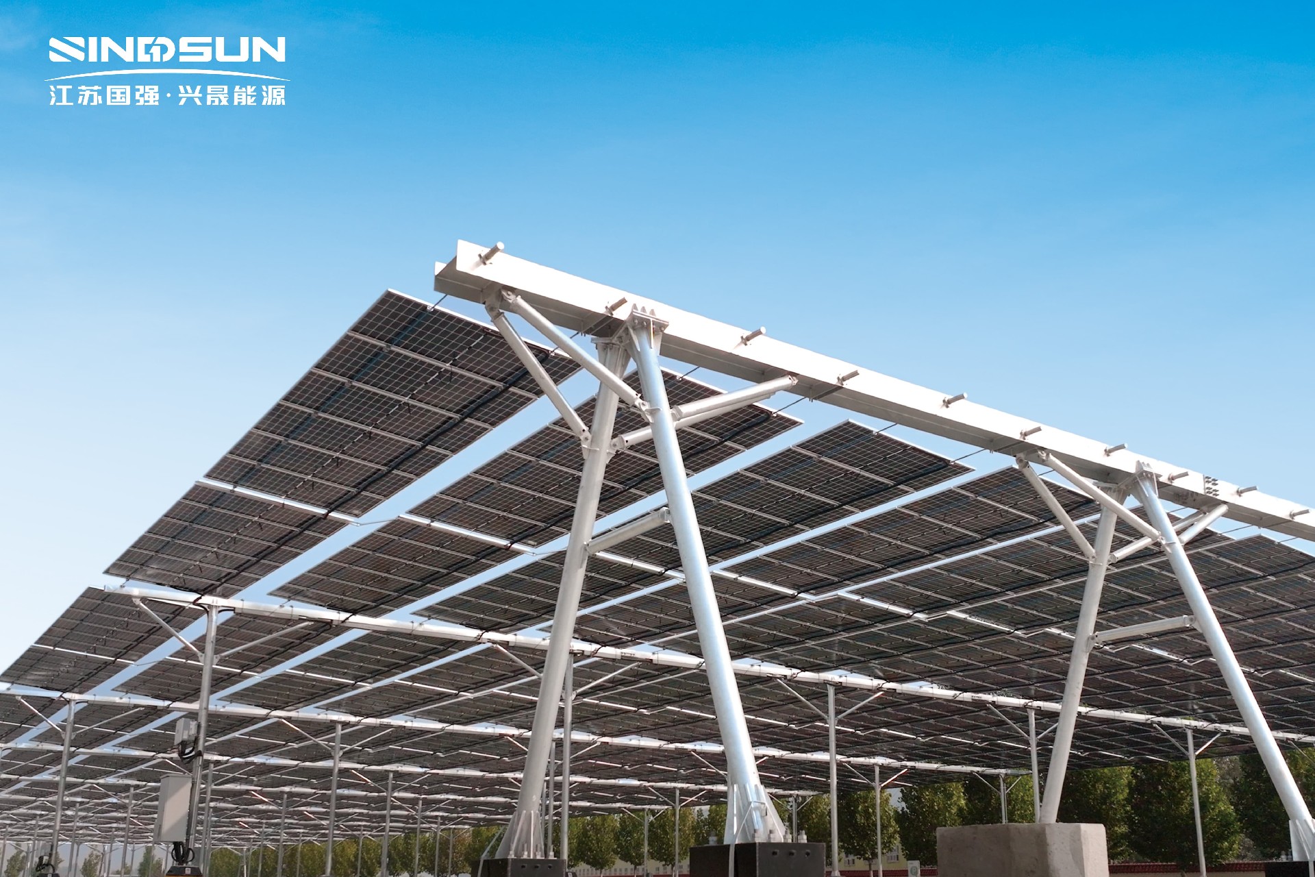 IMG_5609.jpg IMG_5609.jpg